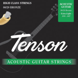 TENSON 010 ACOUSTIC